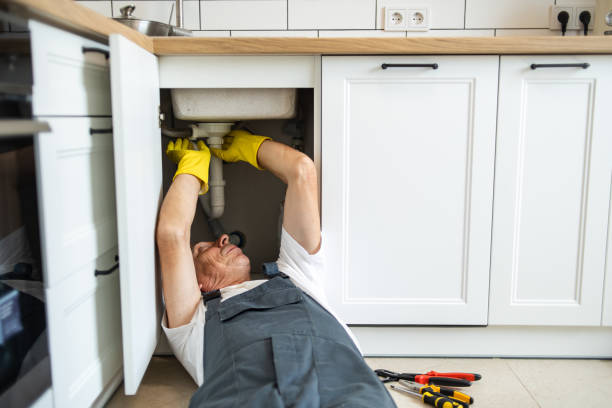 Best Local Plumber Services  in Tuscoosa, AL
